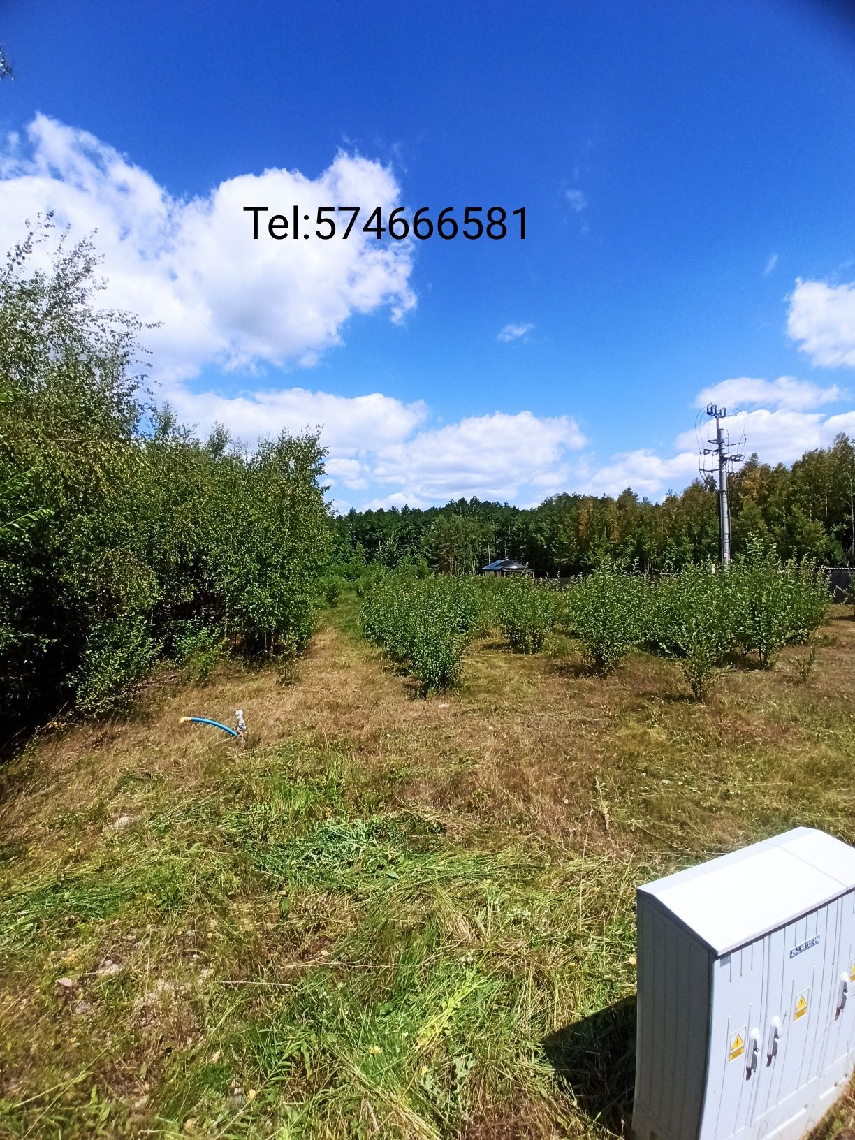 Sprzedam działkę budowlaną. Mazowieckie-Gielniów-Snarki