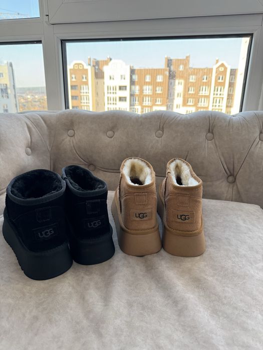 уги UGG mini platform натуральний замш. В наявності. Люкс. Чорні, рижі