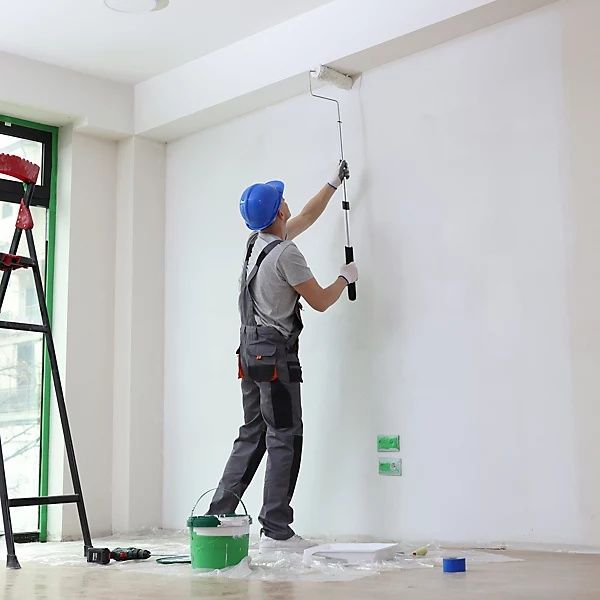 Pinturas/Roçar ervas/Lavagem de telhados