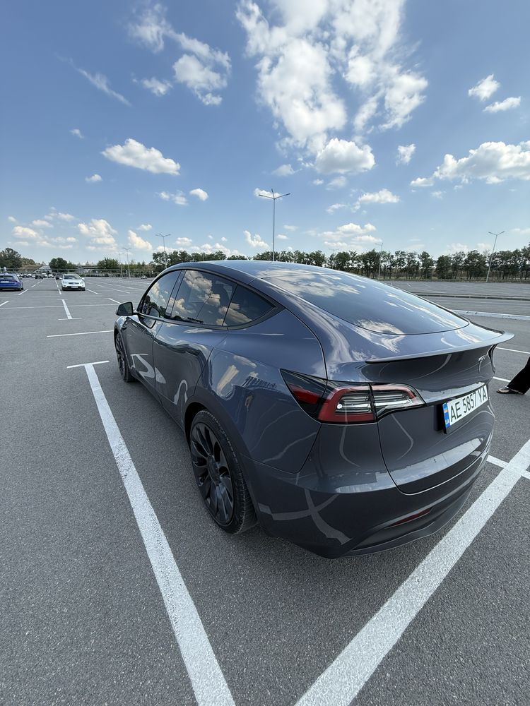 Авто Tesla Y 2023 Performance
