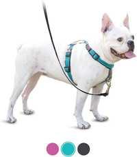 Шлейка, жилет, ошийник для собак PetSafe 3in1 harness