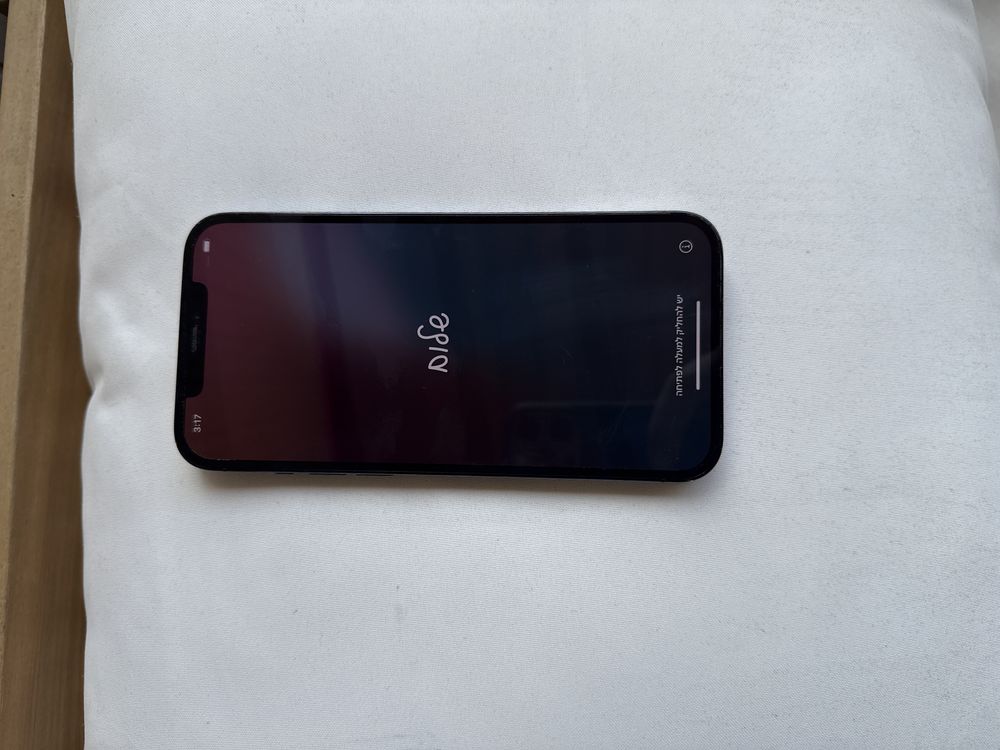 Iphone 12 Pro Max 256 GB Impecavel