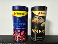 Alimentação peixes tropical