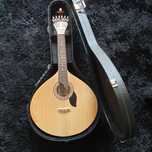 Guitarra portuguesa fado Lisboa + Estojo rígido