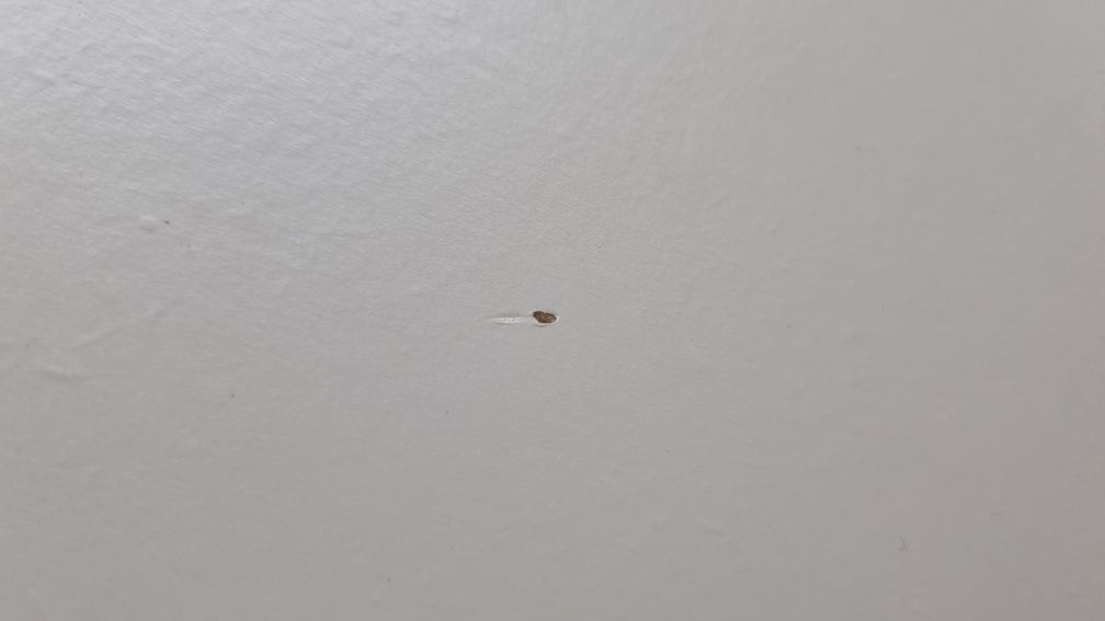 Portas e frentes de gaveta LAPPVIKEN Besta Ikea