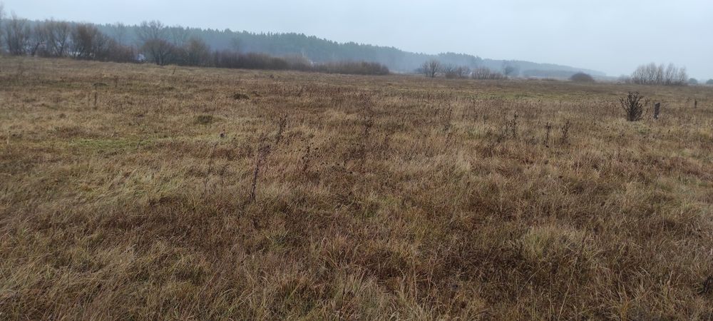 Продам земельну ділянку в с. Забороль