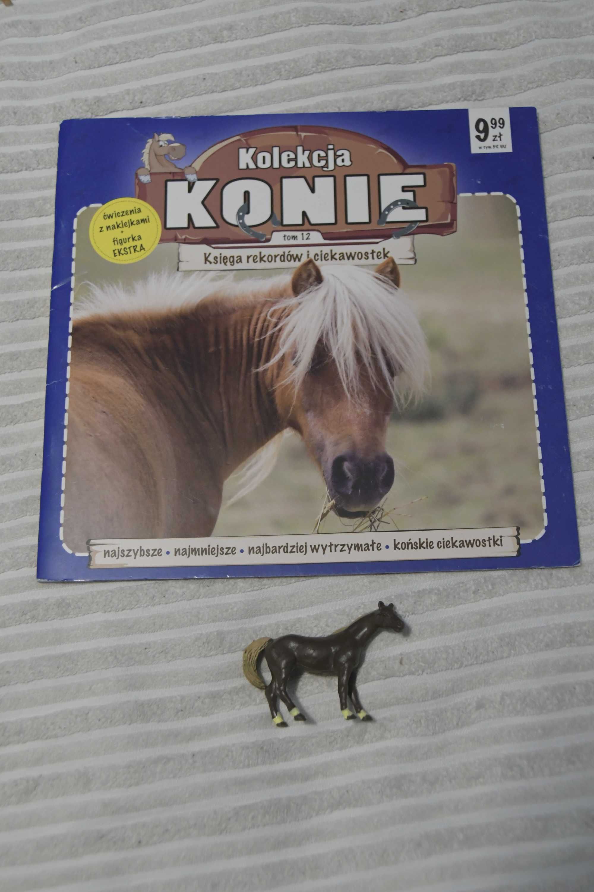Kolekcja zeszytów "Konie"