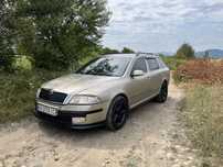Skoda Octavia a5 1.9tdi 77kw