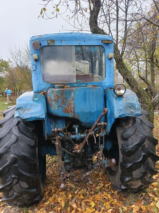 Трактор Білорус МТЗ-50