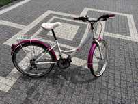 Rower Damski kolo 24