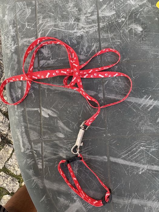 Trela para cães de tamanho pequeno