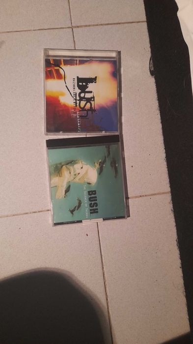 Conjunto de 2 CDS Originais BUSH