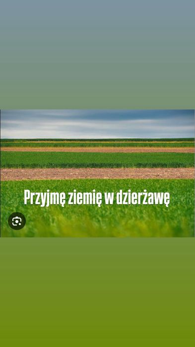 Wydzierżawię ziemię