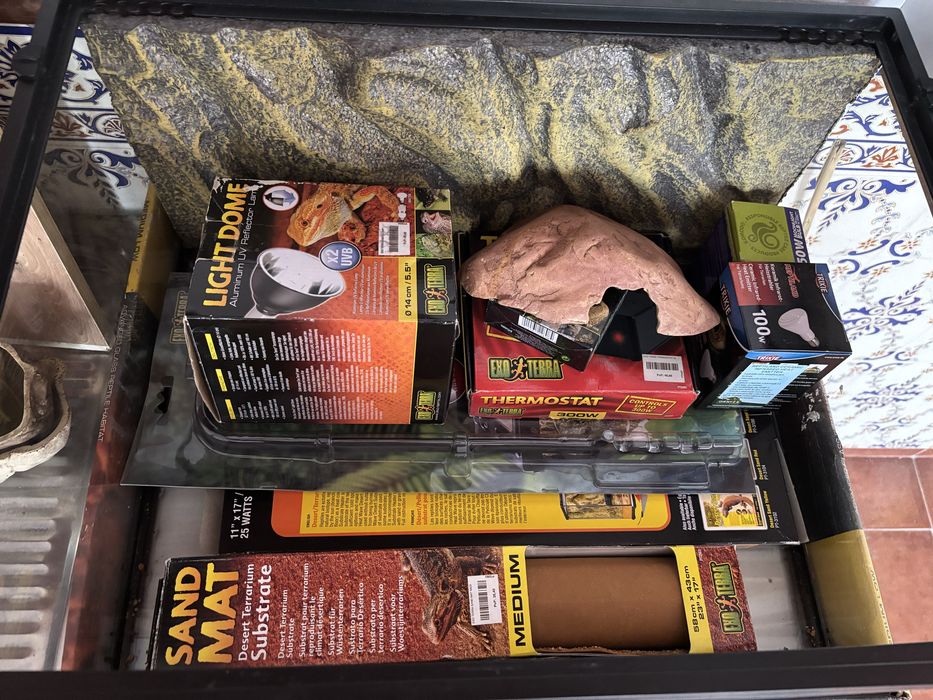 Terrario Exoterra Medium Low