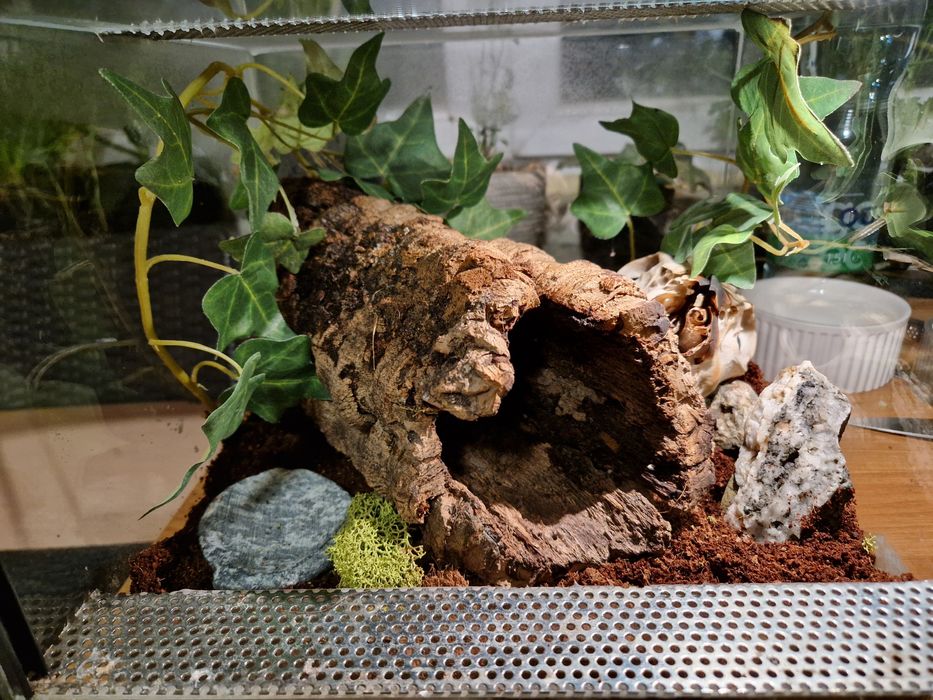 Terrarium 30x30x25cm