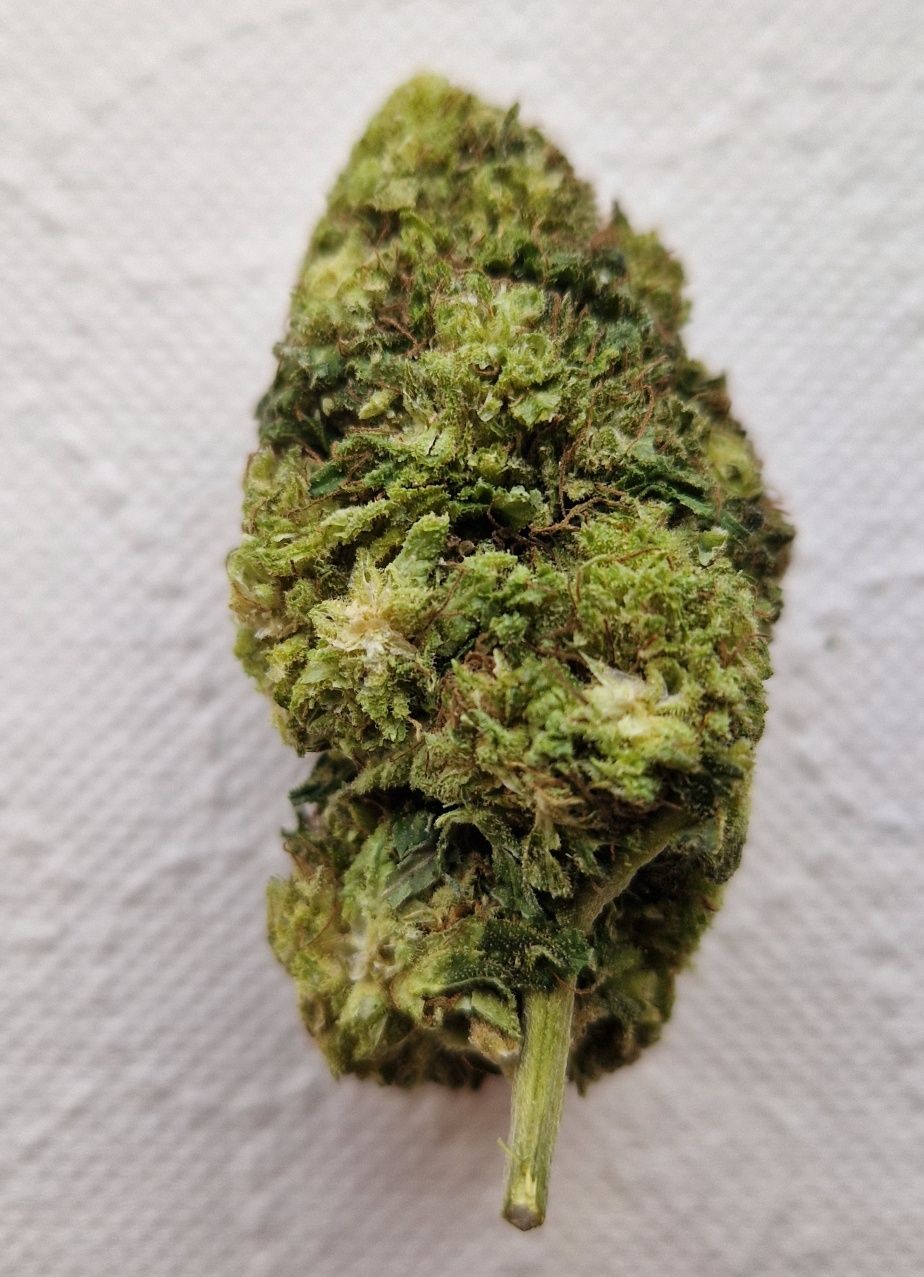 Amnesia Haze Susz CBD premium 5 gram 59 zł