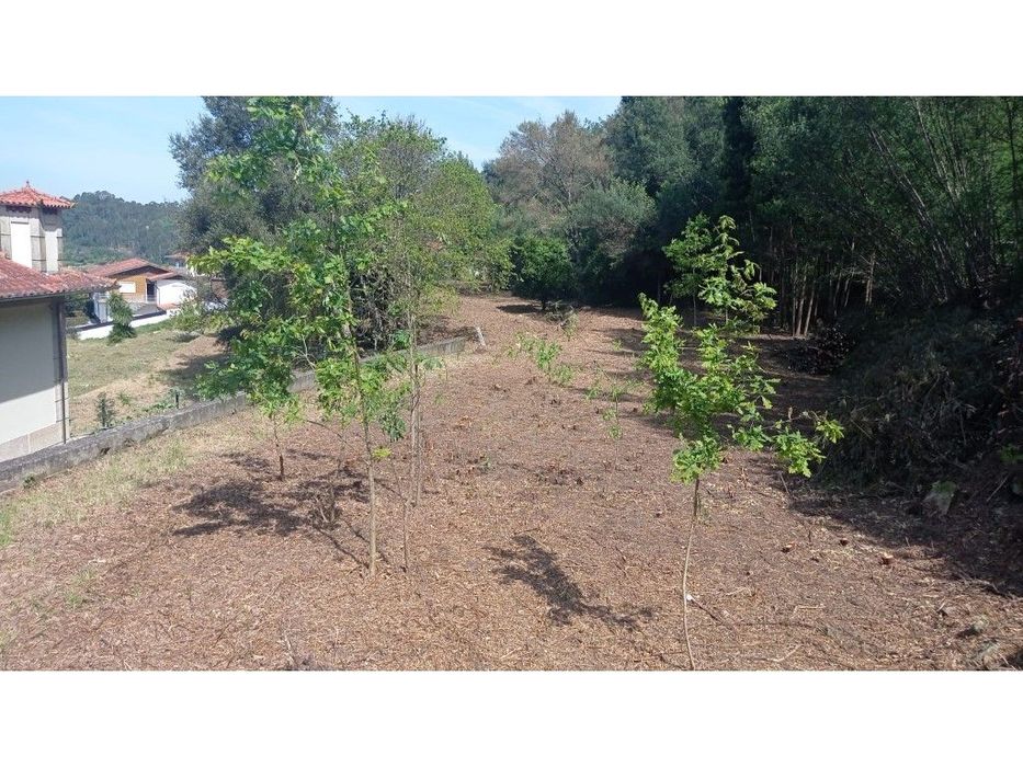 Terreno Refojos de Riba D'Ave