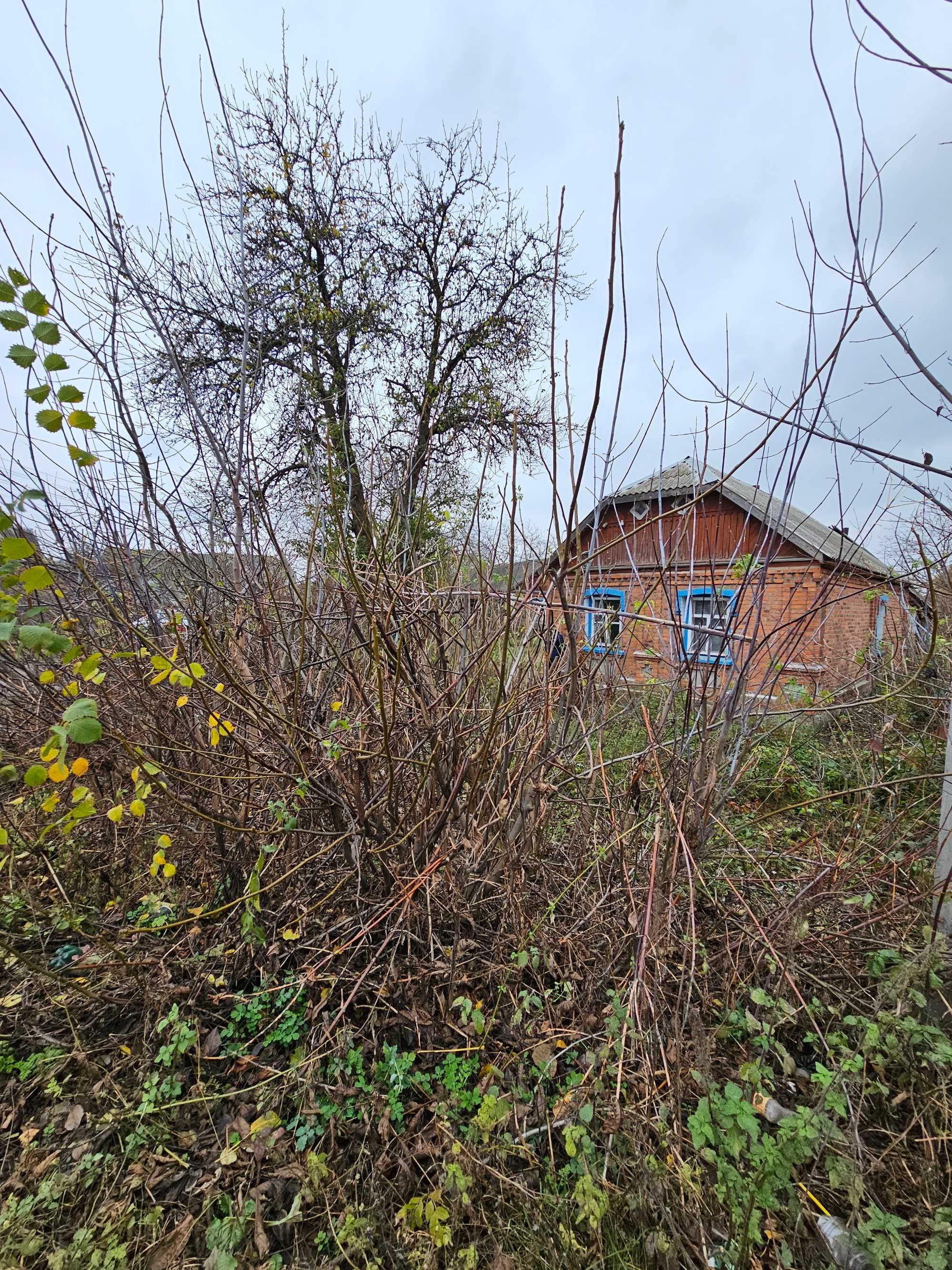 Продам будинок із ділянкою та городом  м. Козятин