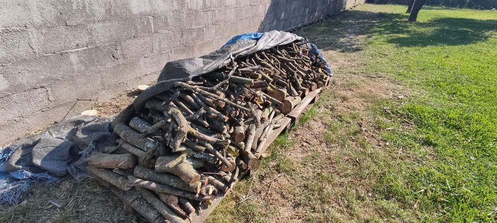 Lenha  de castanheiro