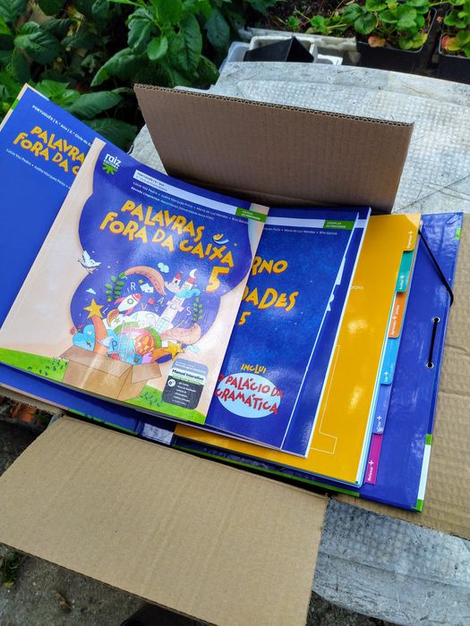 Palavras fora da caixa - 5 ano - Dossier do professor