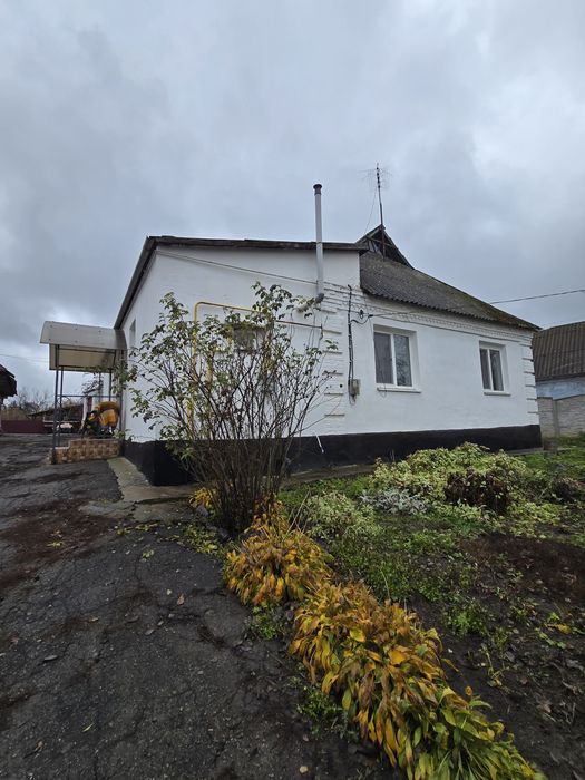 Можна по програмах! Продаж будинку з ремонтом в с.Шамраївка