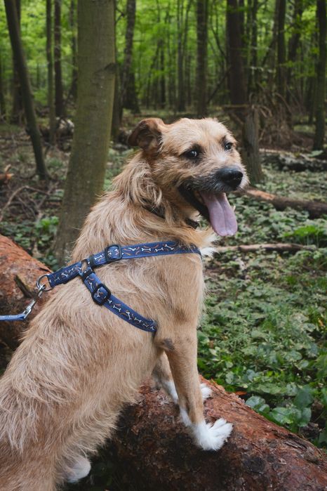 Borys tak długo czeka