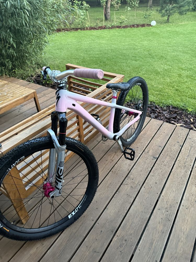 specialized p3 (custom)