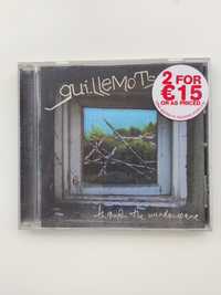 Guillemots - "Through the windowpane"