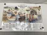 Poster The Making of Malt Whisky