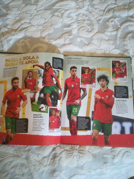 Panini Fome de vender caderneta completa