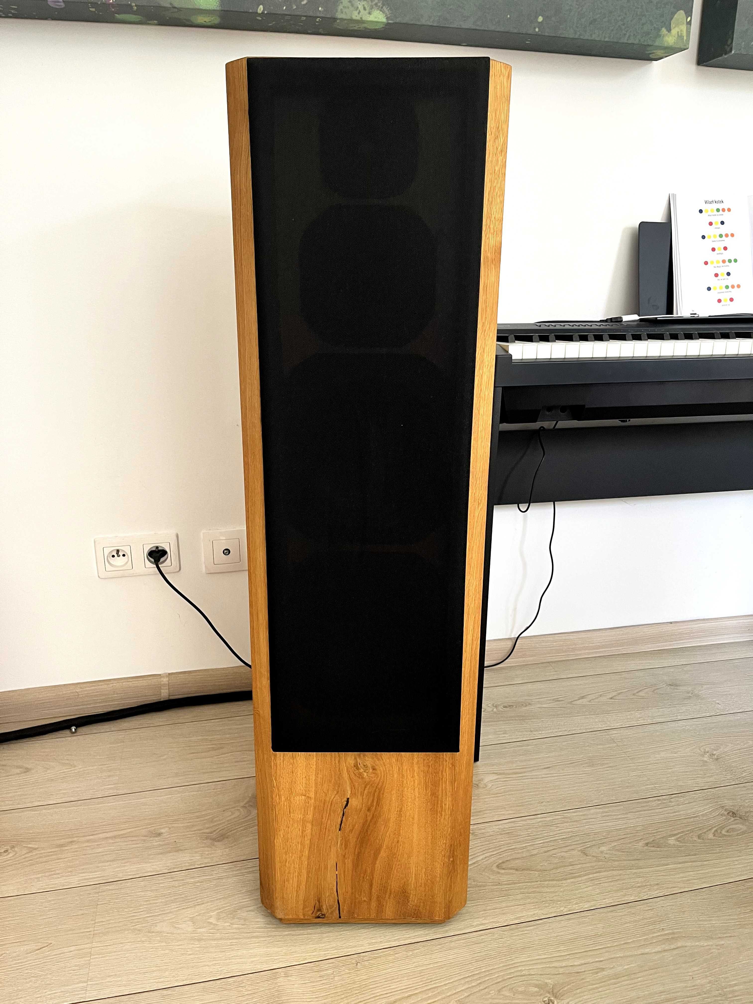 Wyjątkowy zestaw audio stereo