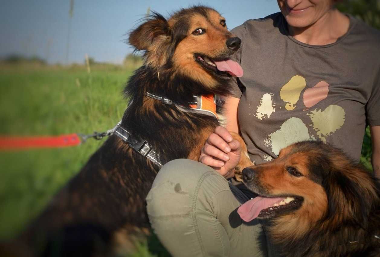 Lolo - puchaty promyczek szczęścia czeka na dom! :)