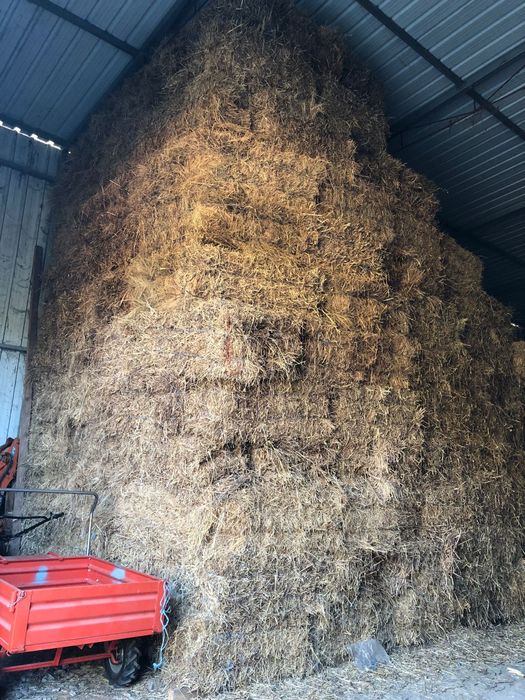 Vendo fardos de feno