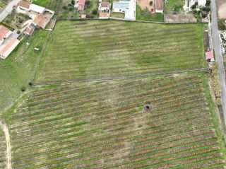 Terreno à venda em Óbidos