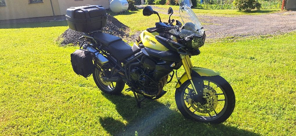 Triumph Tiger 800