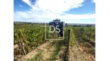 Herdade T8 em Elvas