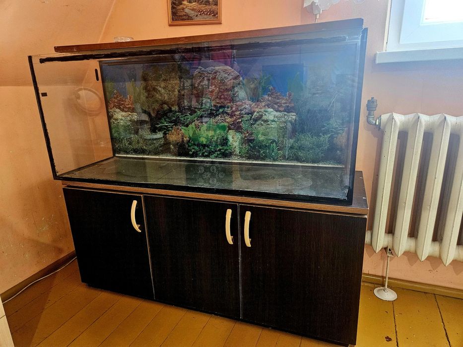 Akwarium 240l z szafką