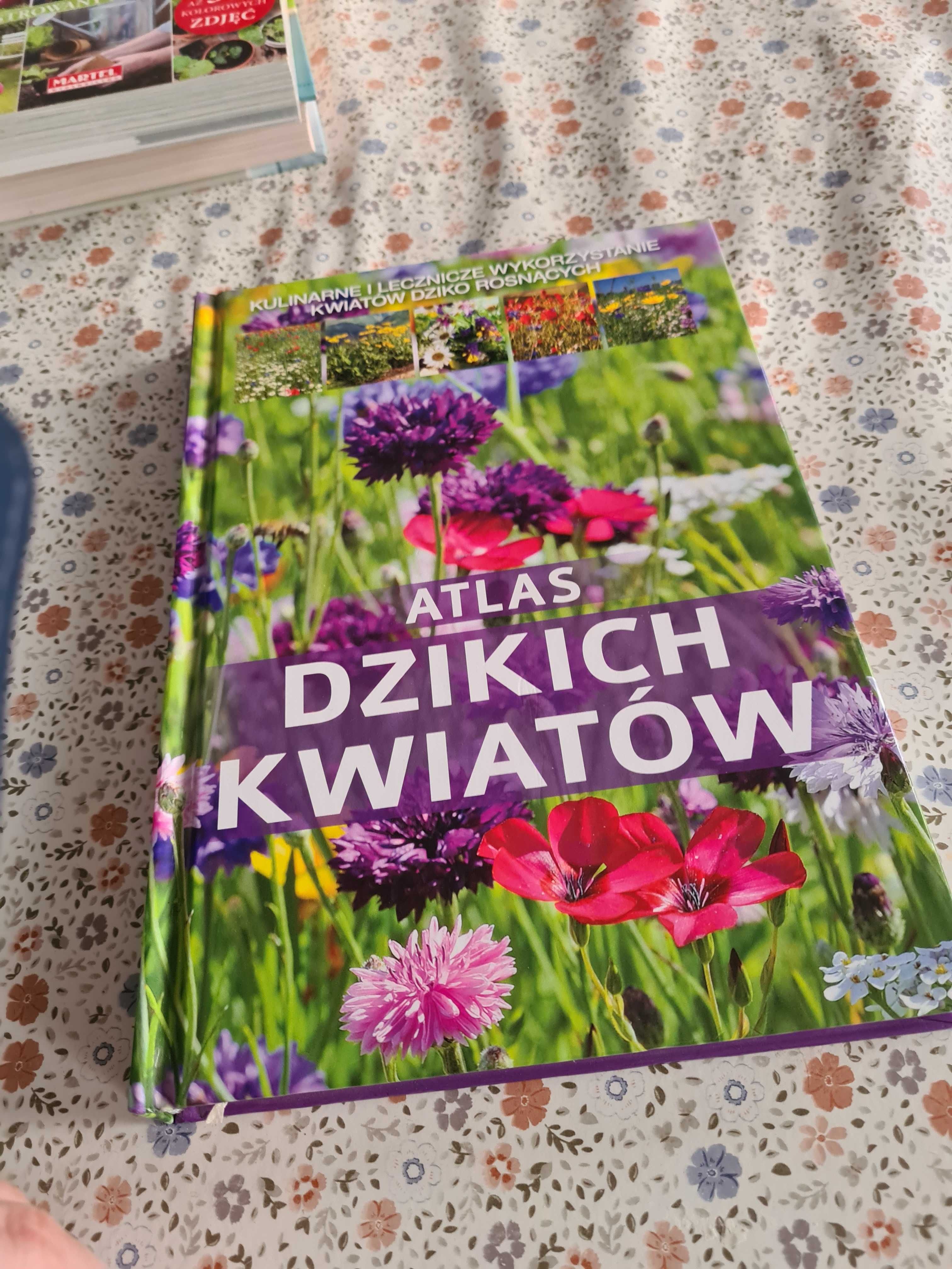 Atlas dzikich kwiatow  rosliny lecznicze i kulinarne