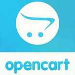 Opencart разработчик. Профессиональное создание и доработки Опенкарт