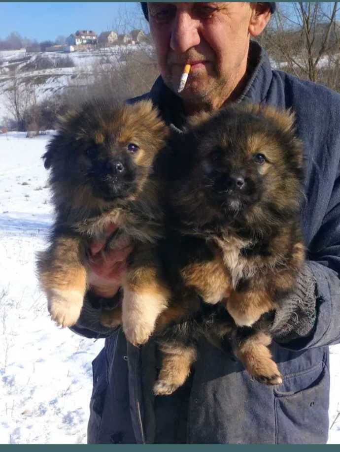 Сказачно красивые мальчики девочка..Бесплатно.