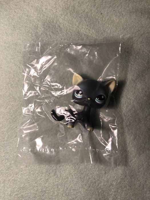 Nowy czarny shorthair LPS