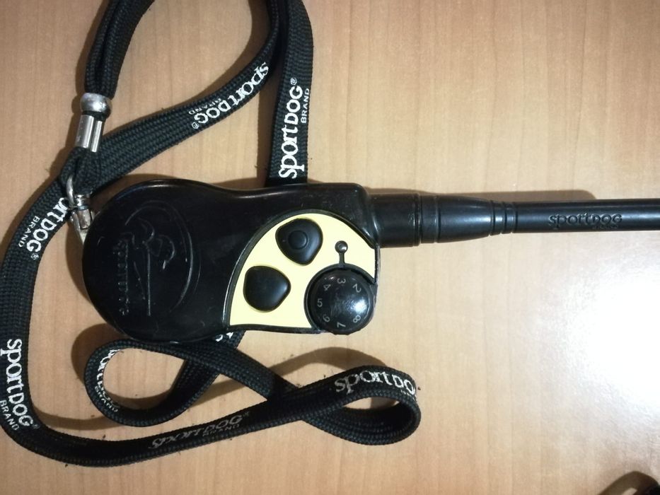 Coleira de ensino para cão