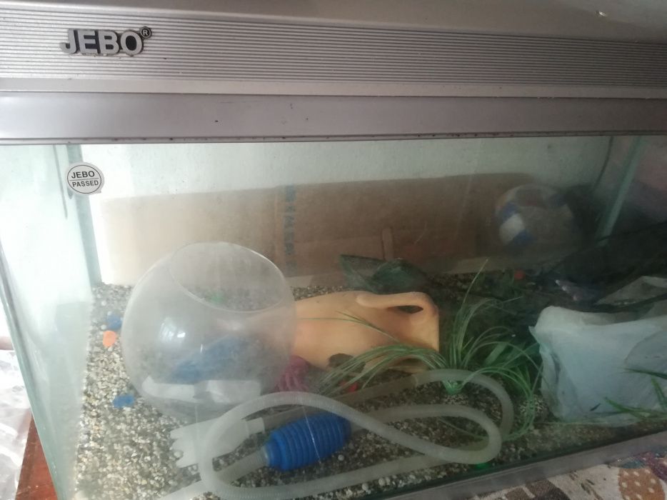 Aquário 180L Jebo