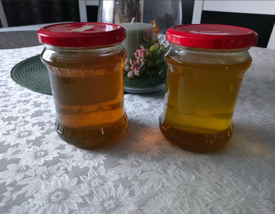 Syrop z mniszka lekarskiego 0.5l