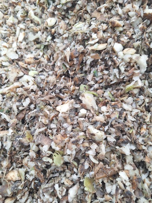 Wysłodki buraczane mokre korzonki buraczane szybka dostawa