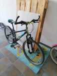 Bicicleta Berg roda 24