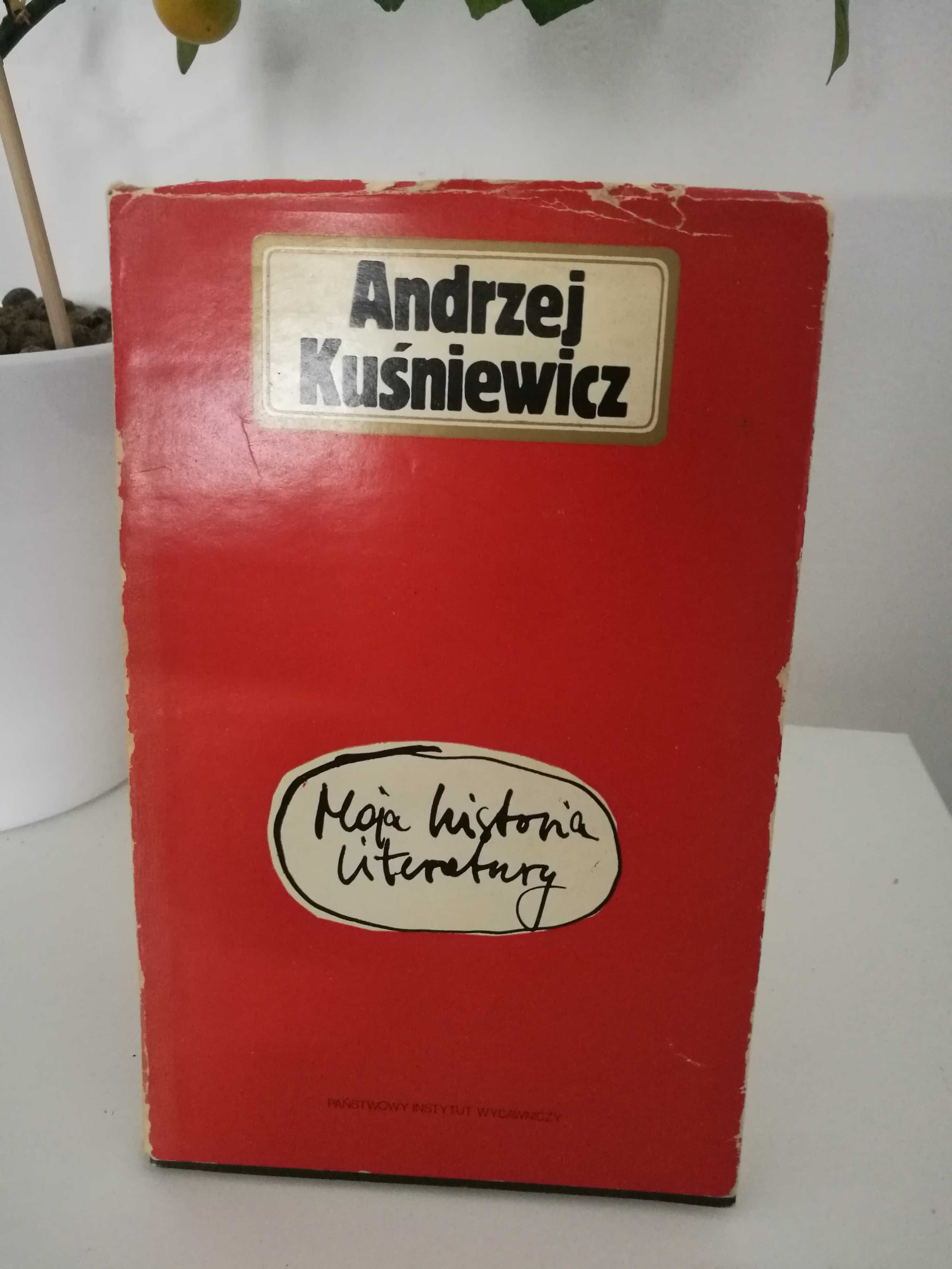 Andrzej Kuśniewicz "Moja historia literatury"