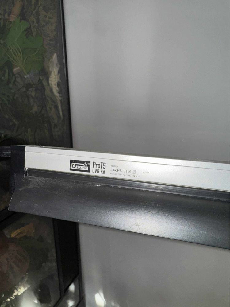 Arcadia pro t5 39W