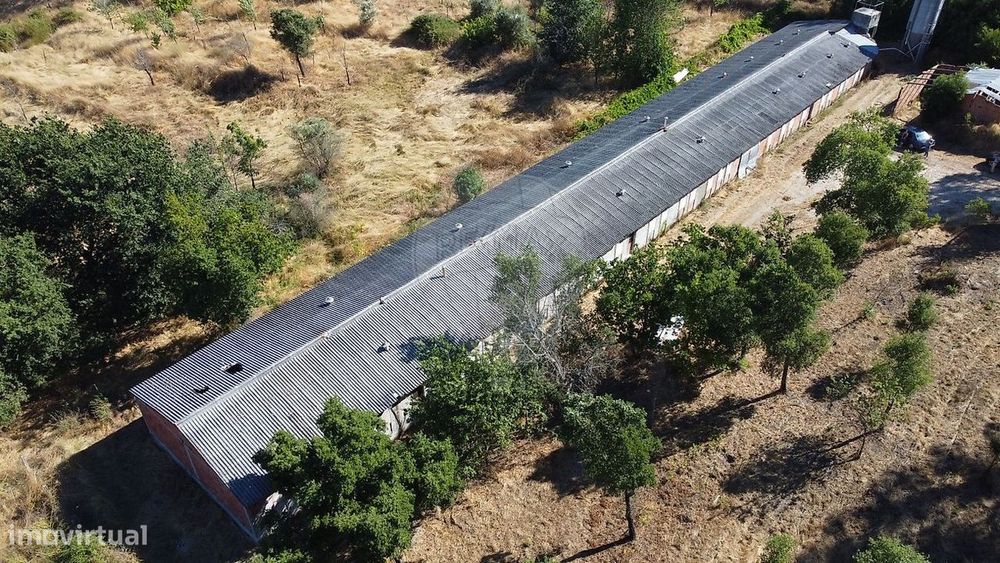 Armazém  para venda