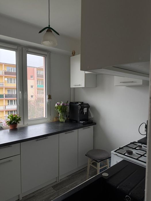 Mieszkanie do wynajęcia